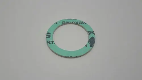 Runde Dichtung in grüner Farbe, auf einer Seite mit Aufschrift versehen. Verwendungsmöglichkeiten im Zusammenhang mit Remeha Heizsystemen.